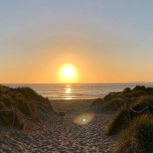 Meet your Posher, Jazzy